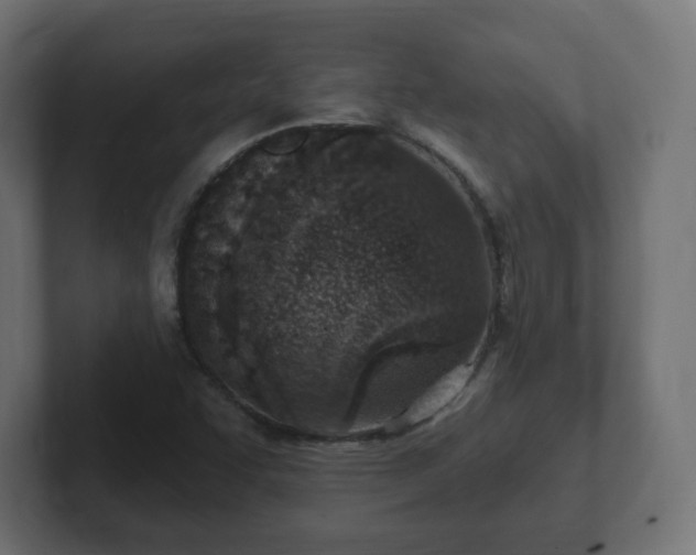 X0000103171455200808291500