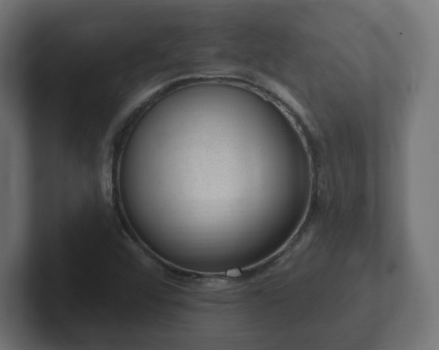 X0000103171456200808291500