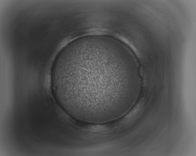 X0000103171459200808291500