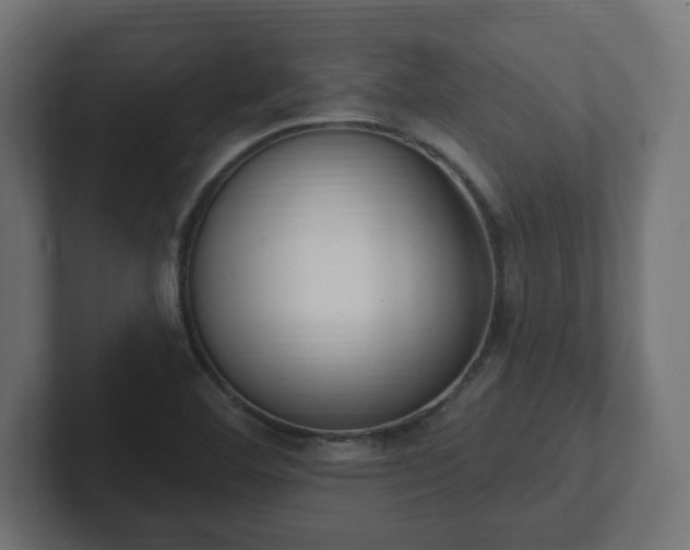 X0000103171460200808291500