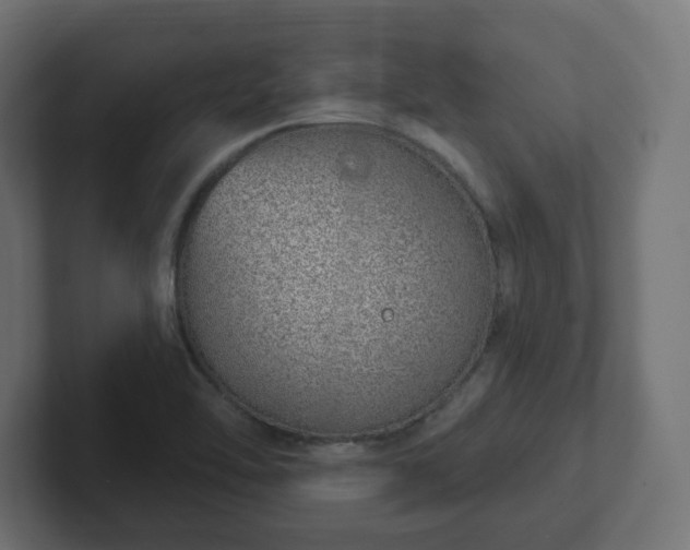 X0000103171462200808291500