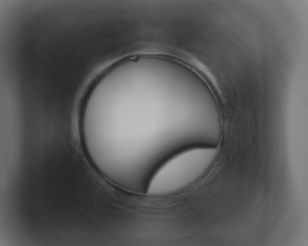 X0000103171464200808291500