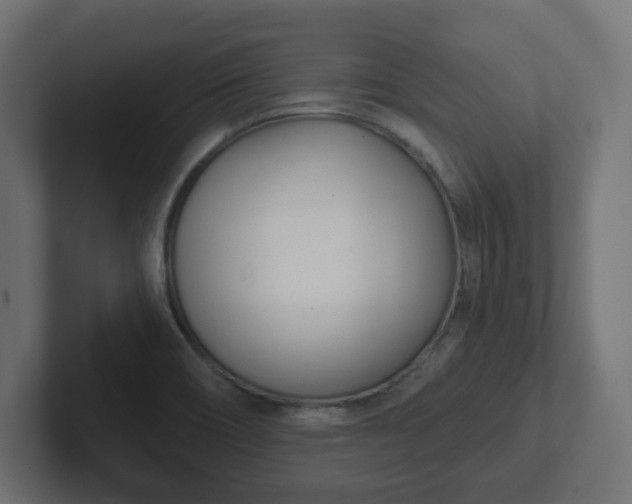 X0000103171466200808291500