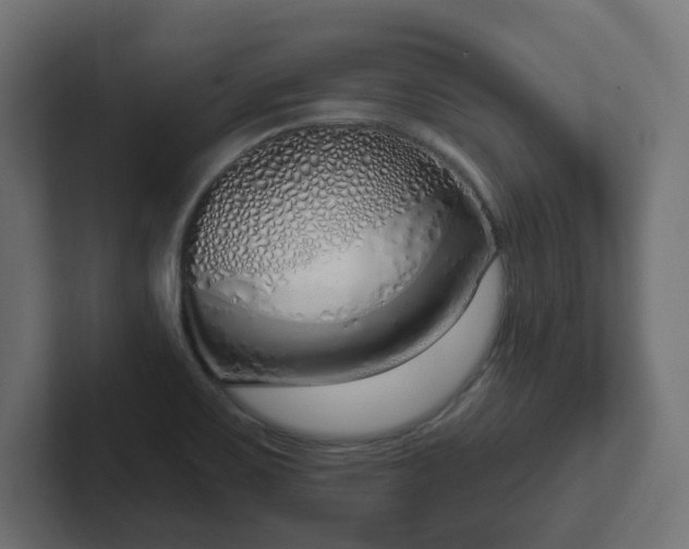 X0000103171467200808291500