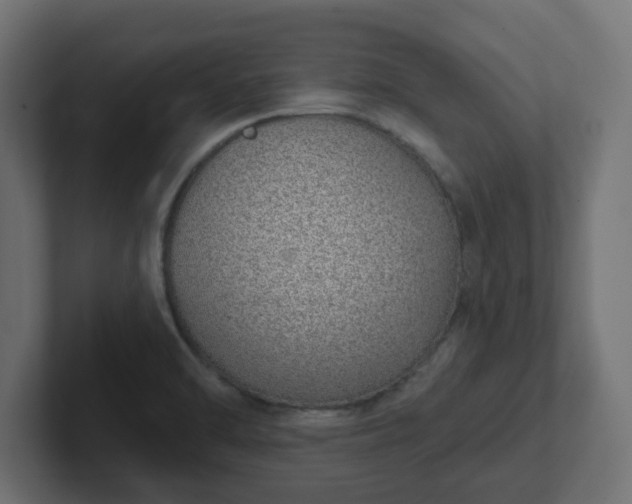 X0000103171470200808291500