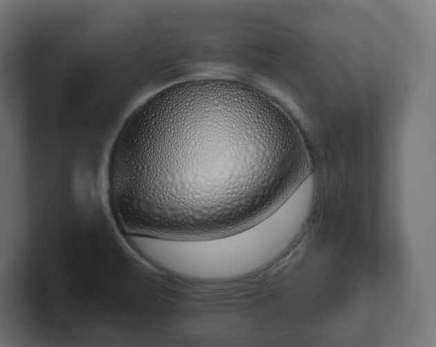 X0000103171471200808291500