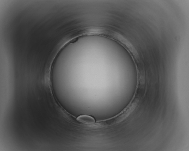 X0000103171473200808291500