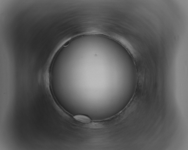 X0000103171476200808291500