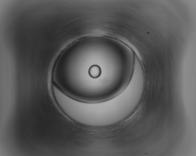 X0000103171477200808291500