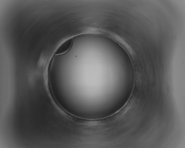 X0000103171479200808291500