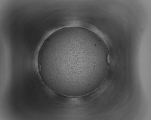 X0000103171480200808291500