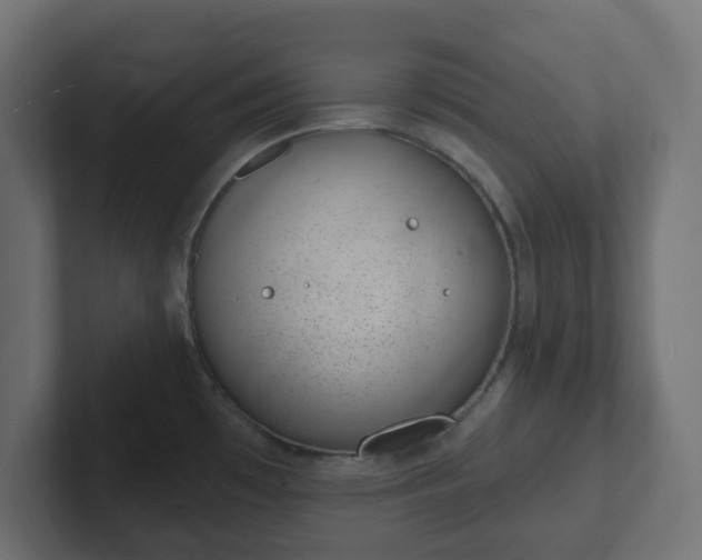 X0000103171481200808291500