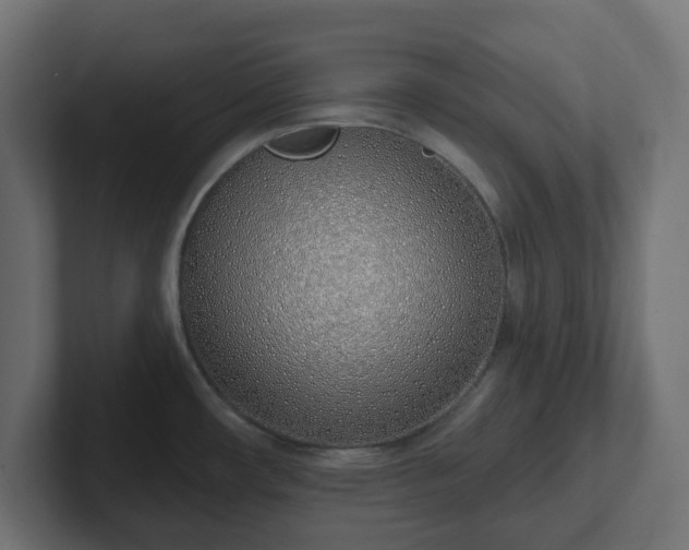 X0000103171482200808291500