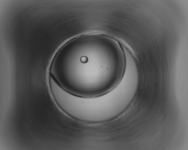 X0000103171484200808291500