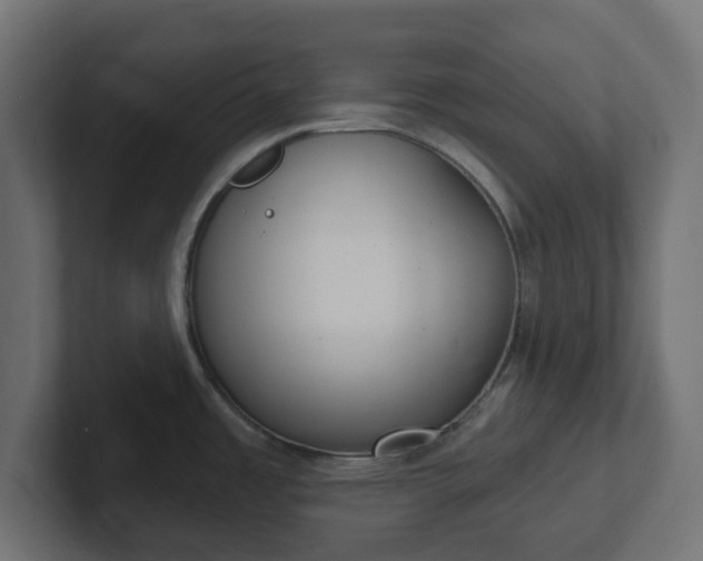 X0000103171485200808291500