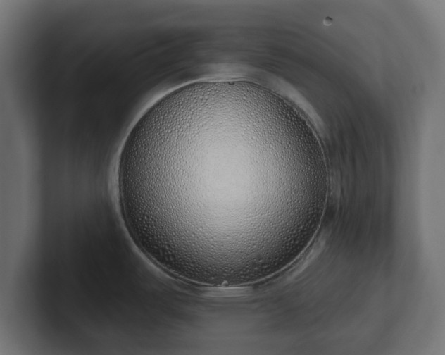 X0000103171487200808291500