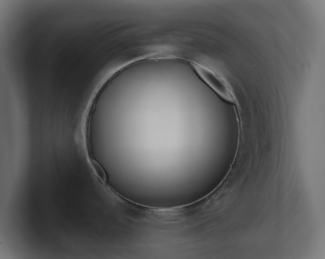 X0000103171488200808291500