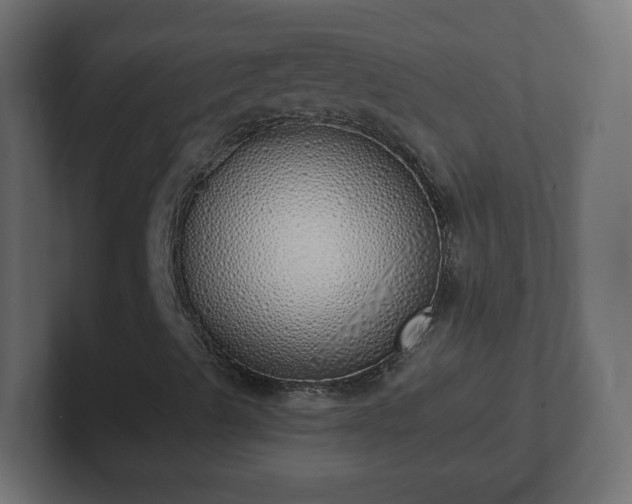 X0000103171489200808291459