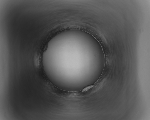 X0000103171490200808291459