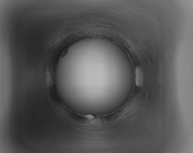 X0000103171491200808291459