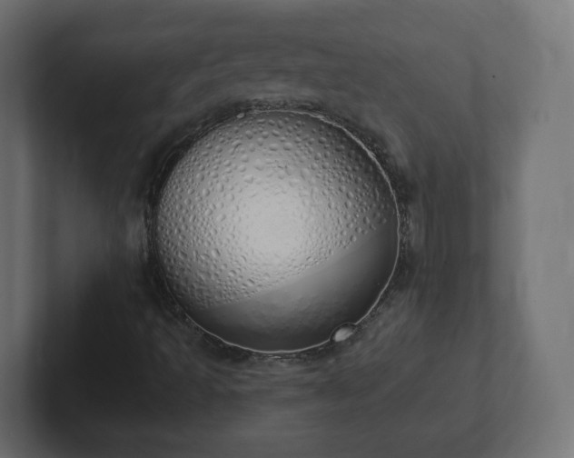 X0000103171493200808291459