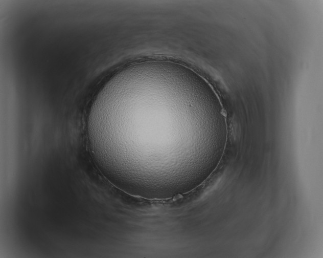 X0000103171494200808291459