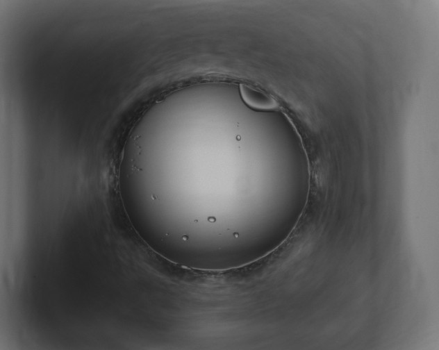 X0000103171495200808291459