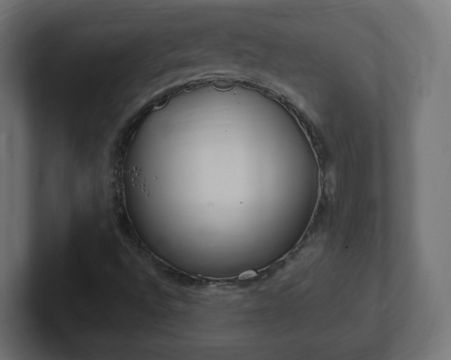 X0000103171496200808291500