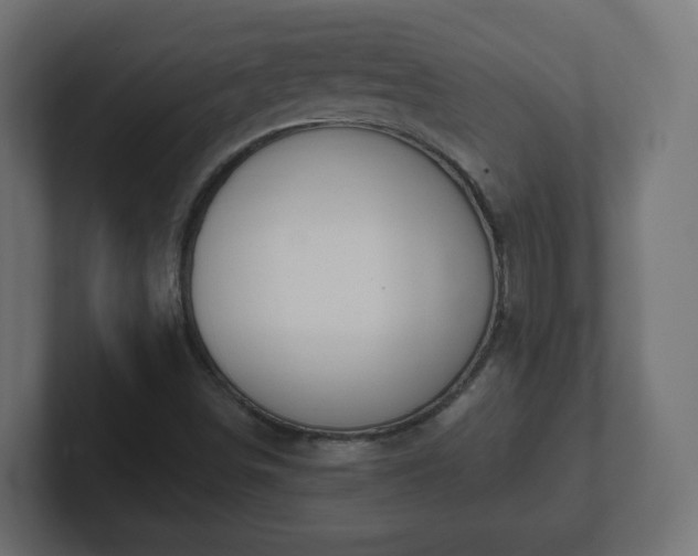 X0000103171498200808291500