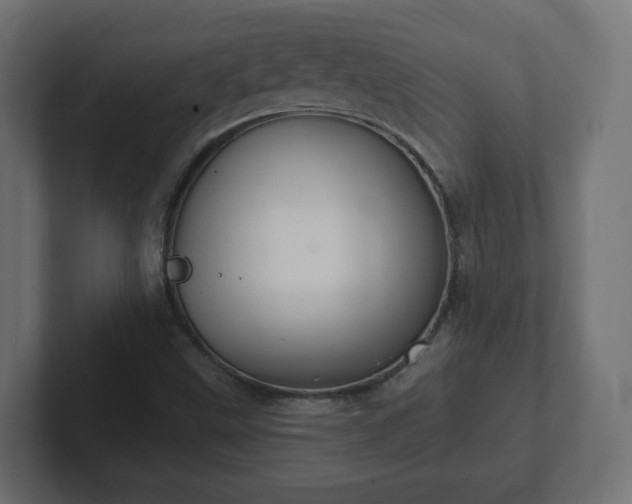 X0000103171499200808291500