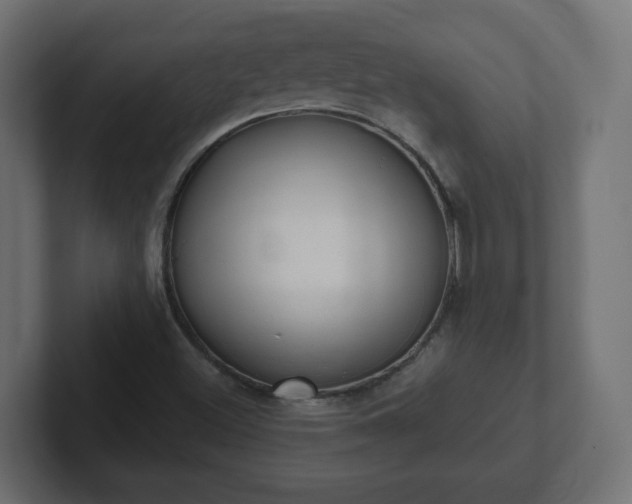 X0000103171500200808291500