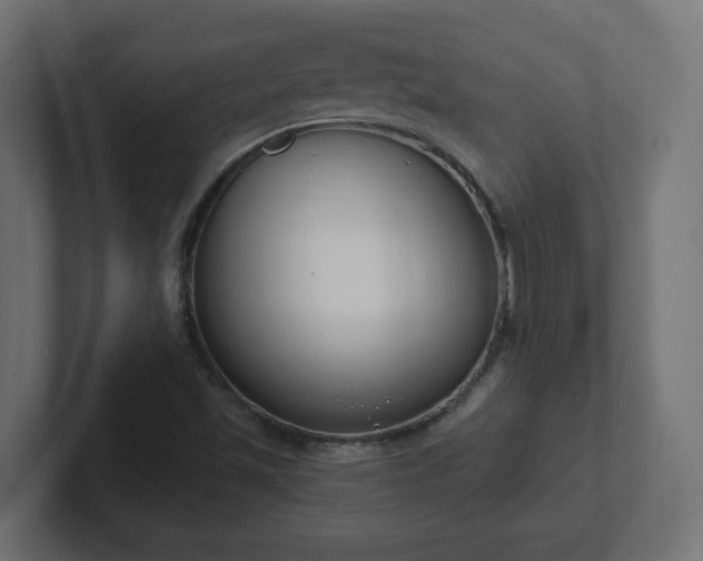 X0000103171501200808291500