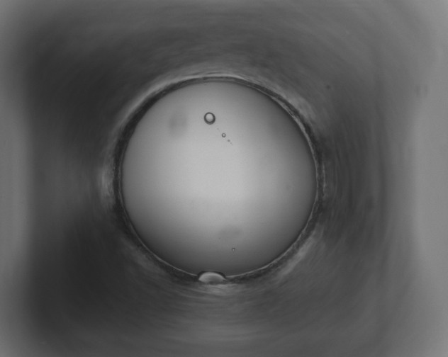 X0000103171502200808291500