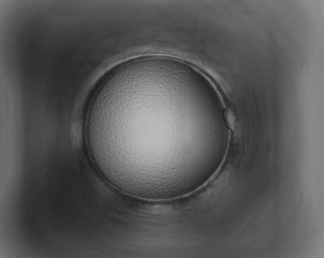 X0000103171503200808291500