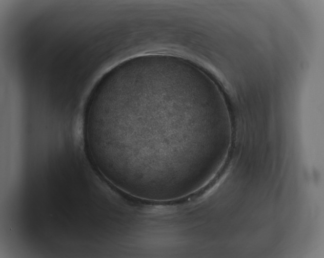 X0000103171506200808291500