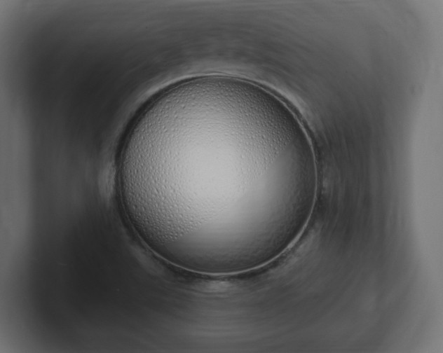 X0000103171507200808291500