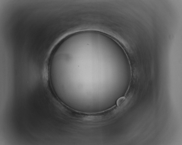 X0000103171510200808291500