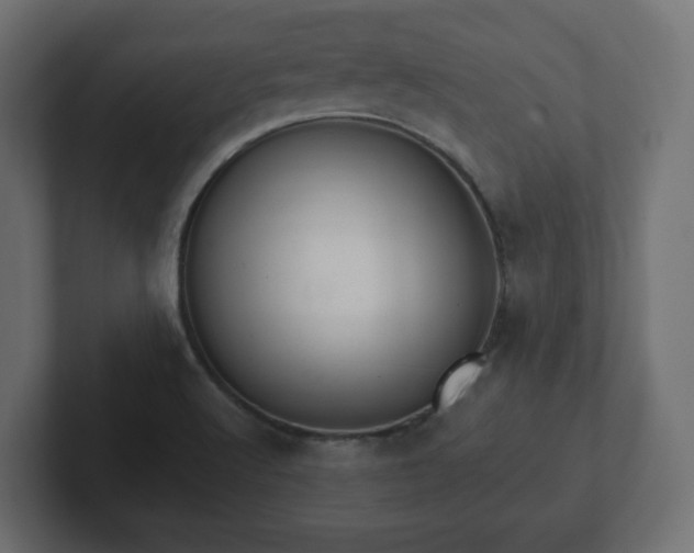 X0000103171512200808291500