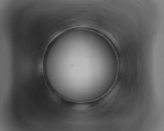 X0000103171513200808291500