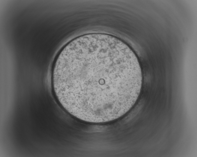 X0000103171514200808291500