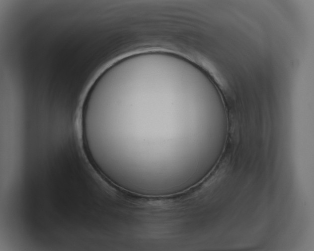 X0000103171516200808291500