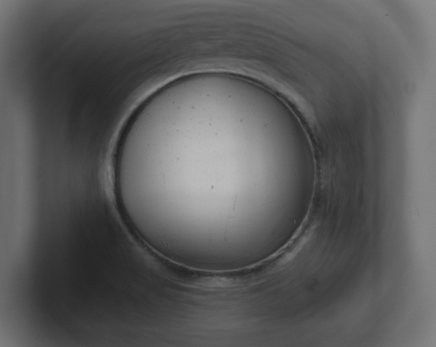 X0000103171517200808291500