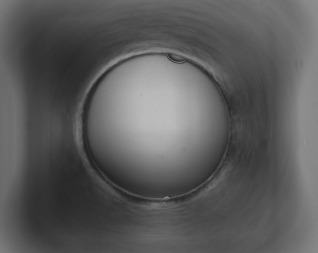 X0000103171518200808291500