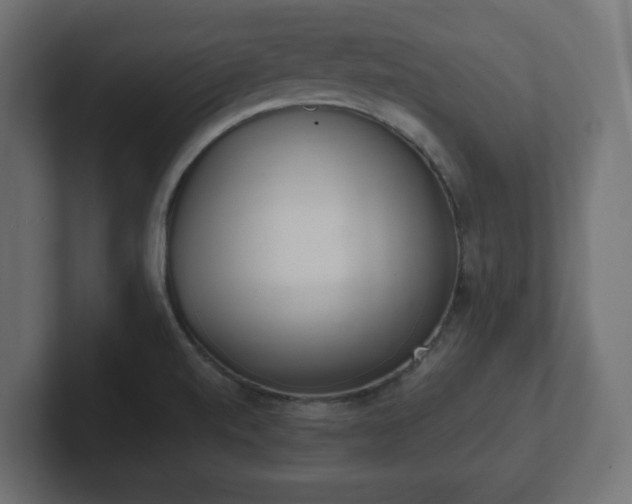 X0000103171520200808291500