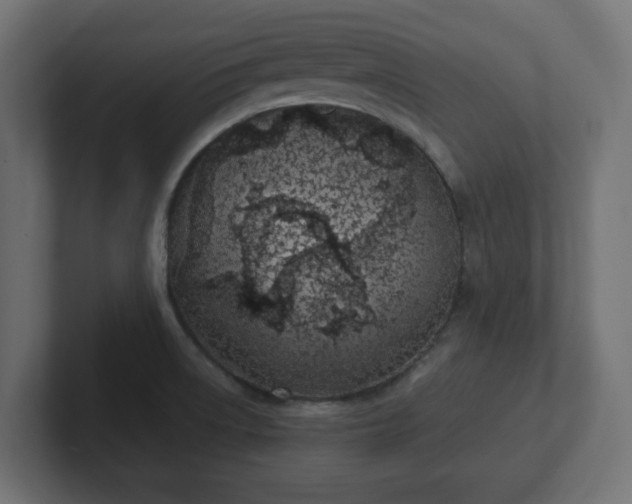 X0000103171522200808291500