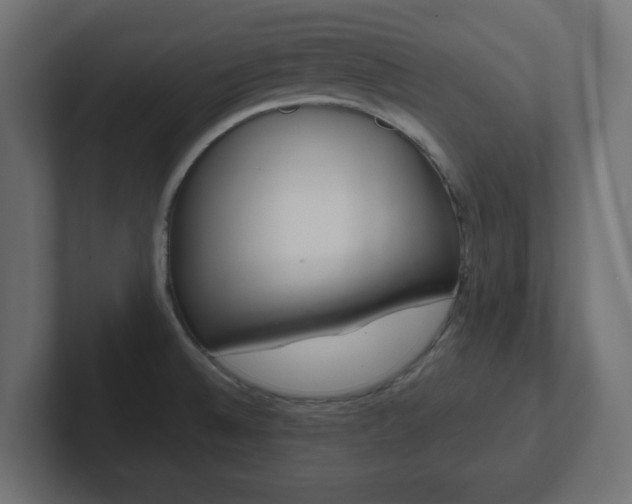 X0000103171524200808291500