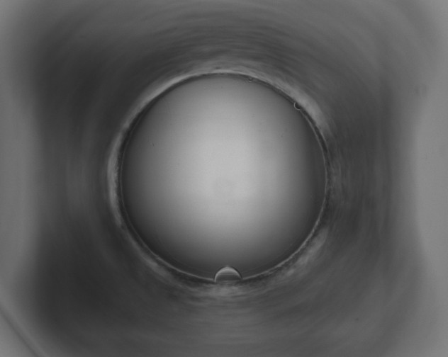 X0000103171525200808291500