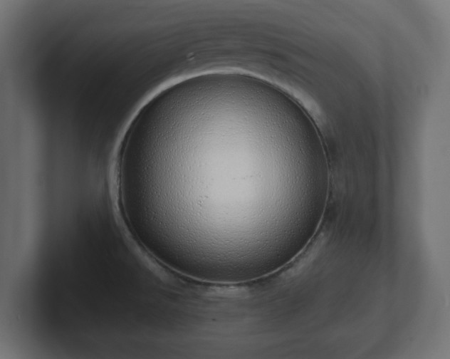 X0000103171526200808291500