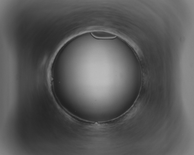 X0000103171527200808291500