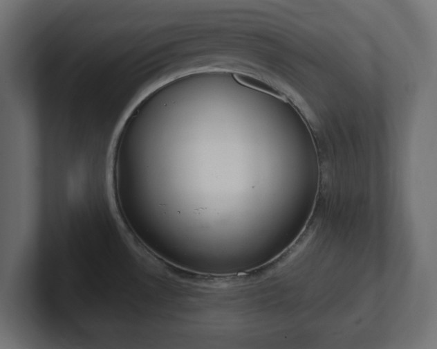 X0000103171530200808291500